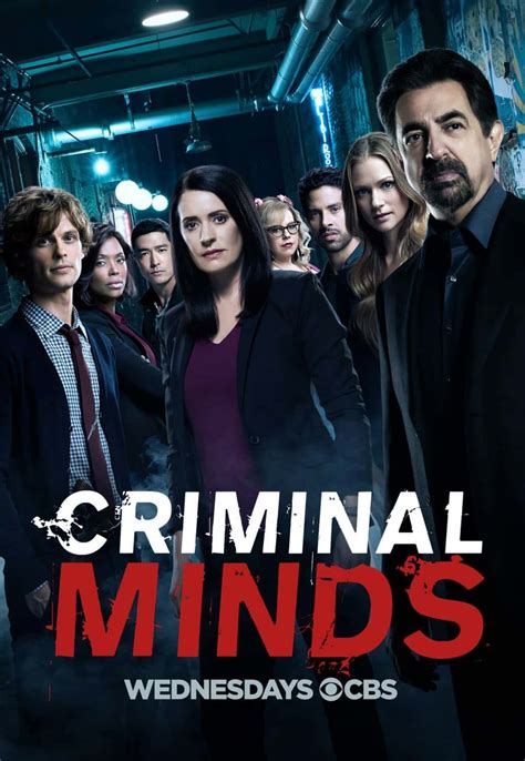 myflixer criminal minds|criminal minds season 13 synopsis.